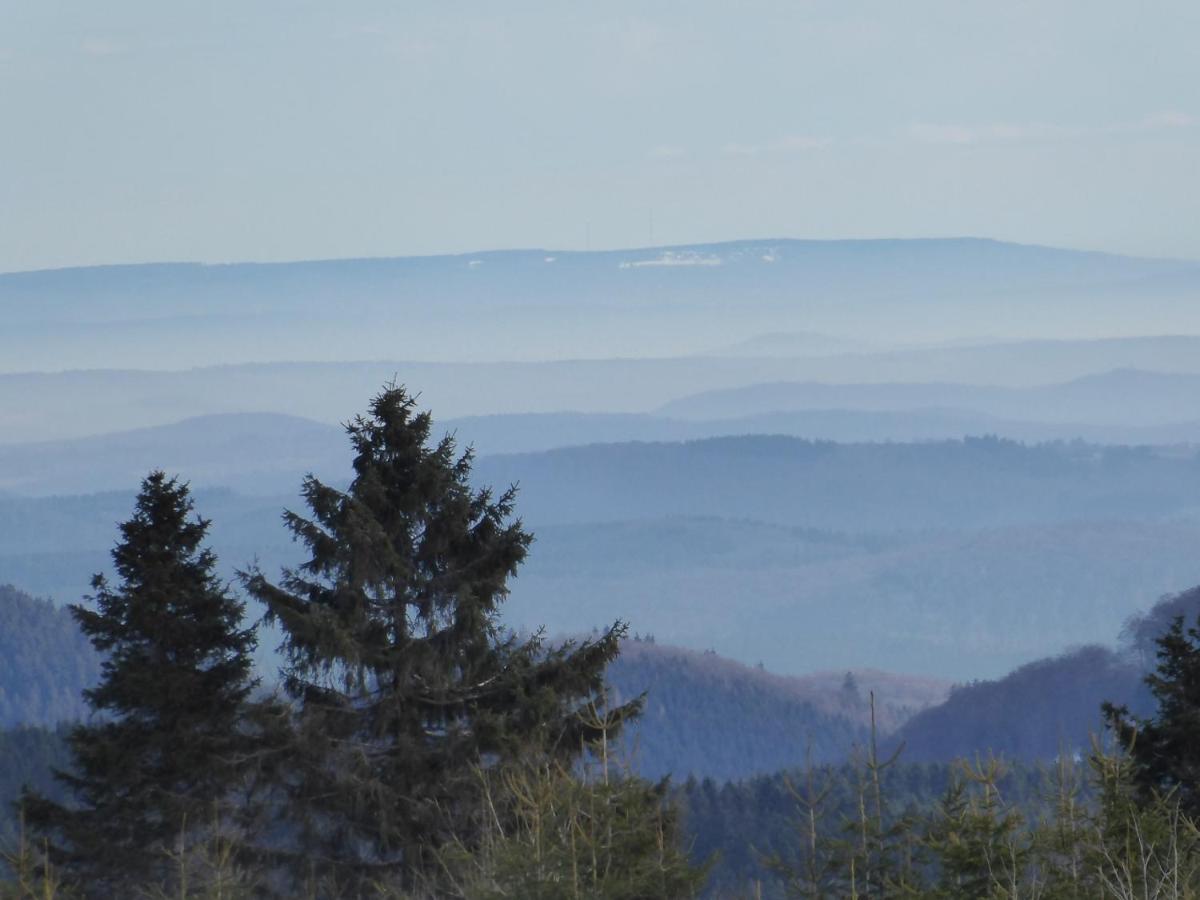 Dümpelhof Ferienwohnungen Olsberg Exterior foto